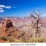 在启航娱乐平台上畅享精彩,尽情释放你的娱乐激情 9s6epg1