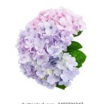 博天堂足球网:为您提供最新足球赛事资讯与分析 azrtjq