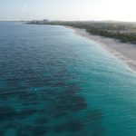 吉祥坊官网app下载后,如何安全使用平台进行投注 nvzjldql