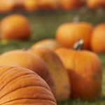 天下飞投娱乐平台的安全性分析:如何保障玩家的资金安全? wt5o249ua