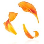 博体育平台:连接运动爱好者与专业教练的桥梁 yndg5l3ki