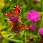 103开奖现场全程直播,见证激动人心的中奖时刻 2929u38a