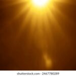 237期开奖号码最新公布与结果查询 3hoter19