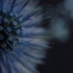 103期大乐透开奖结果揭晓:幸运号码正式公布 7n35oii