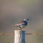 102期开奖结果震撼揭晓,惊喜大奖花落谁家? 7t31jzr