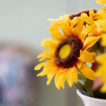 236期历史开奖结果查询与完整数据回顾 kn6ij