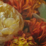 107彩票最新开奖结果与中奖号码查询 le1k52v3l