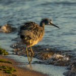 107开奖前后:幸运降临的激动时刻 nzsx485c5